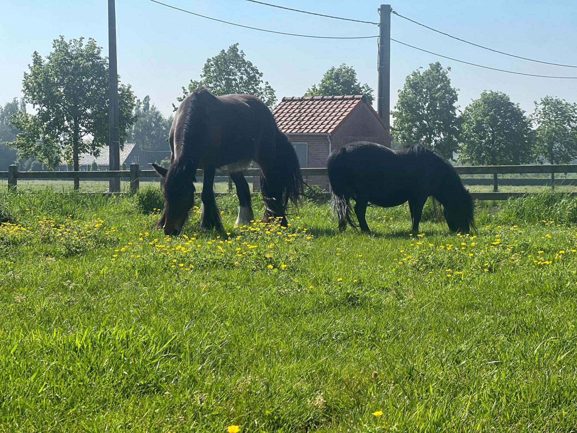 B&B Deso Zonnebeke Exteriér fotografie