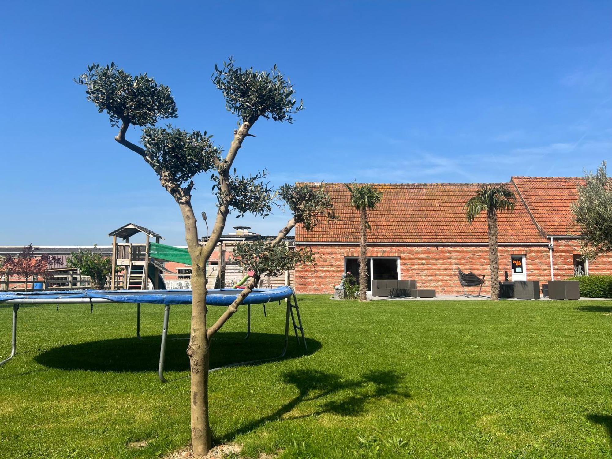 B&B Deso Zonnebeke Exteriér fotografie